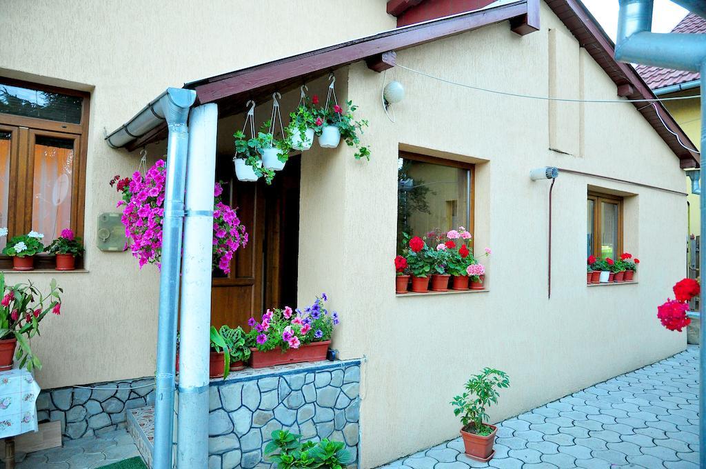 Casa Maria Hotel Gura Humorului Bagian luar foto